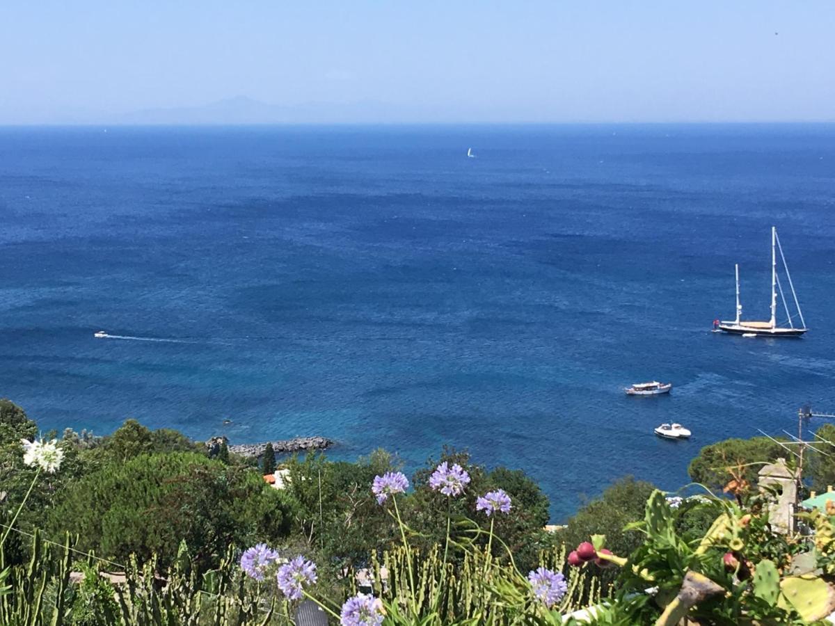 Agapanto Luxury Accommodation Casamicciola Terme Kültér fotó