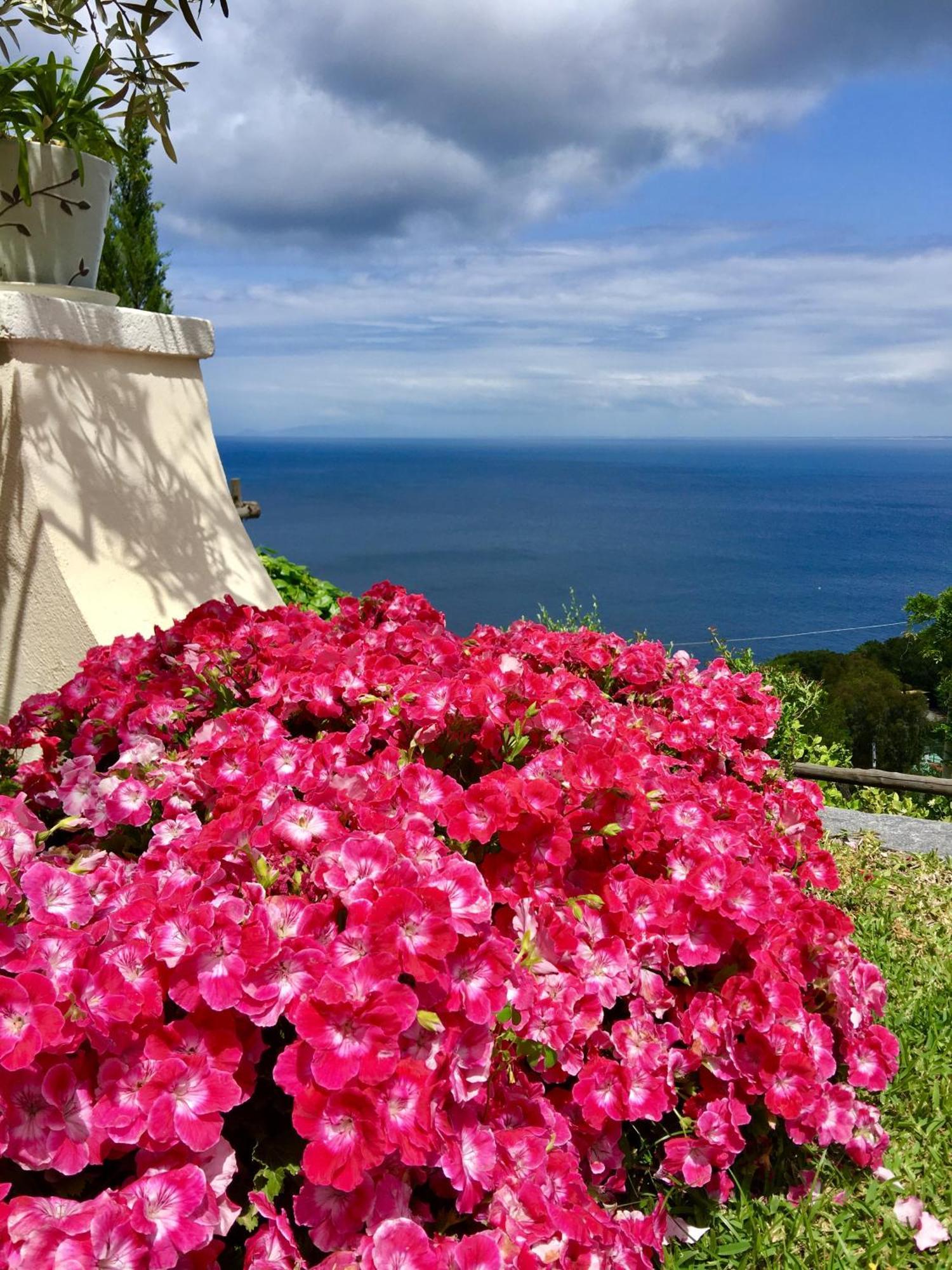 Agapanto Luxury Accommodation Casamicciola Terme Kültér fotó