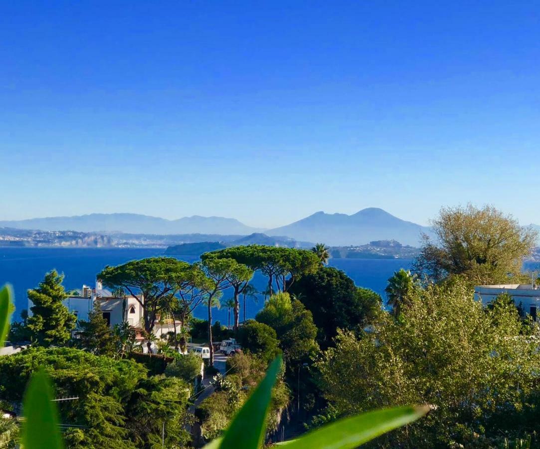 Agapanto Luxury Accommodation Casamicciola Terme Kültér fotó